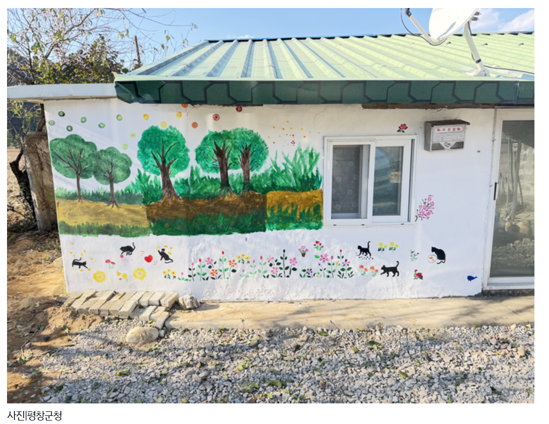 화면 캡처 2025-11-20 122715333.png